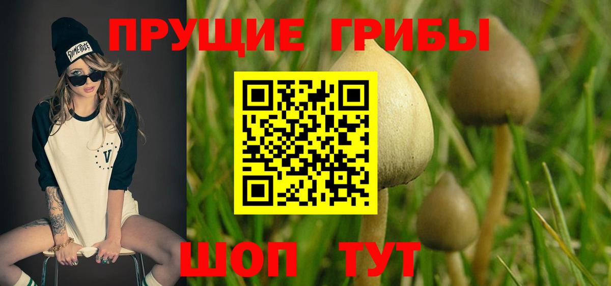 Магадан  Галлюциногенные грибы GOLDEN TEACHER  Вход с VPN 